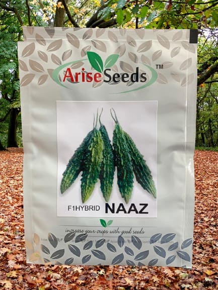 F1 Hybrid Naaz Bitter Gourd Seeds Supplier in cabo verde