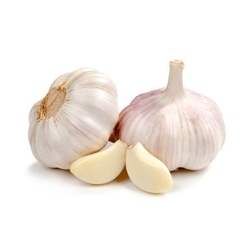 Old Garlic Supplier in hanover