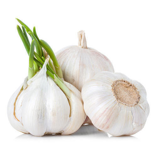 Indore Garlic Supplier in Mandsaur
