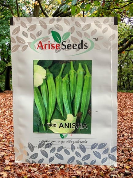 F1 Hybrid Anisha Lady finger Seeds Supplier in gabon