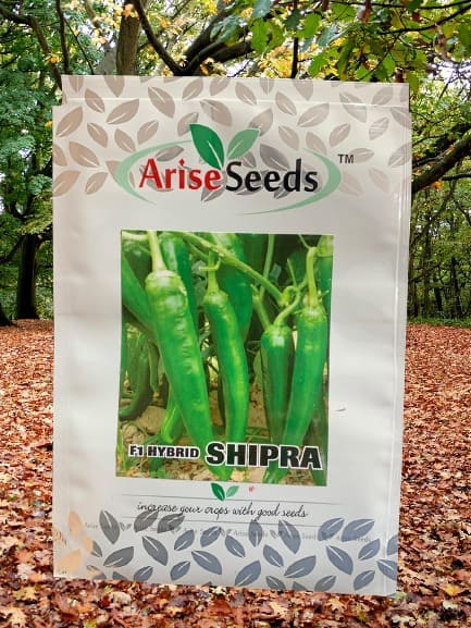 F1 Hybrid Shipra Green Chilli Seeds Supplier in himachal pradesh