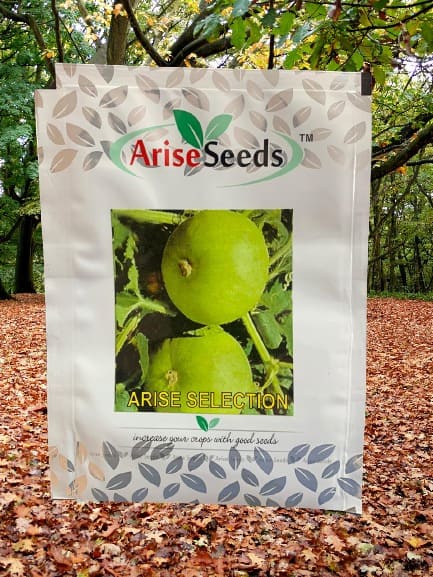 Arise Selection Round Gourd Seeds Supplier in georgia