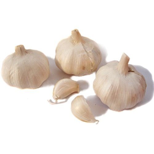 Mandsaur Garlic  Supplier in Mandsaur