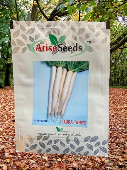 F1 Hybrid Laura - White Radish Seeds Supplier in sweden
