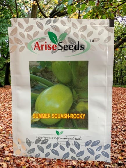 Summer Squash - Rocky Seeds Supplier in mumbai