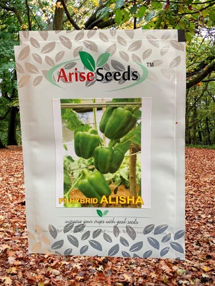 F1 Hybrid Alisha Capsicum Seeds Supplier in chandigarh