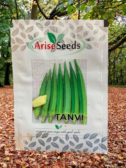 F1 Hybrid Tanvi lady Finger Seeds Supplier in gairsain