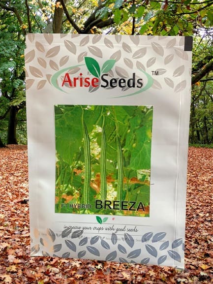 F1 Hybrid Breeza Seeds Supplier in cote d ivoire