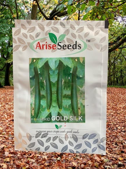 F1 Hybrid Gold Silk Ridged Gourd Seeds Supplier in benin