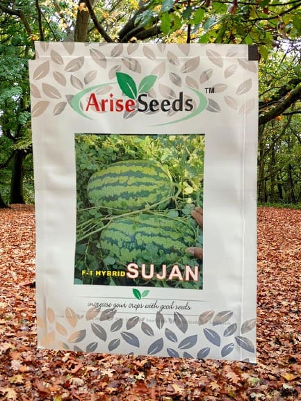 F1 Hybrid Sujan Watermelon Seed Supplier in bosnia and herzegovina