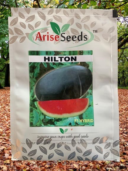 F1 Hybrid Hilton Watermelon Seed Supplier in egypt