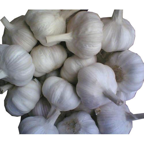 Neemuch Garlic Supplier in Mandsaur