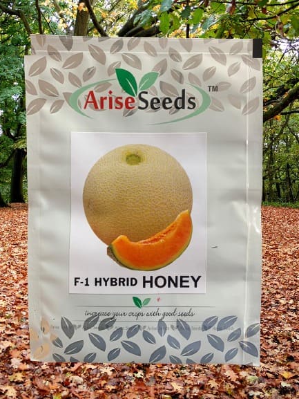 F1 Hybrid Honey Muskmelon Seed Supplier in lew chew