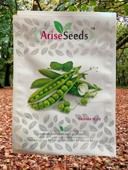 Dashak Plus Peas Seeds Supplier in egypt