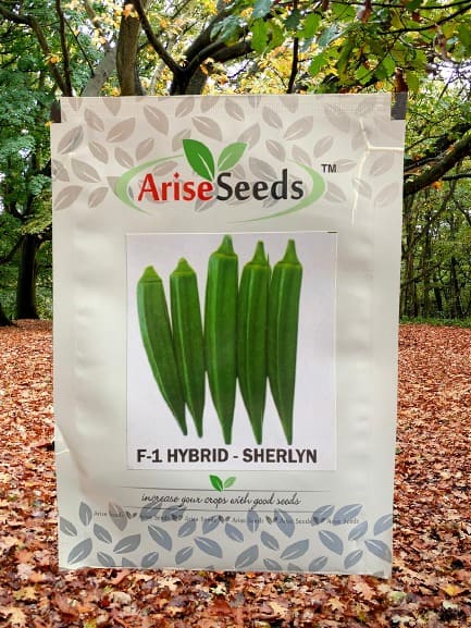 F1 Hybrid Sherlyn Ladyfinger Seeds Supplier in hesse