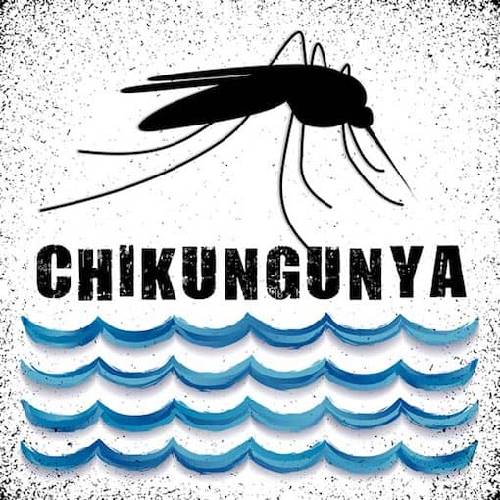 Chikungunya Fever Third Party Manufacturing