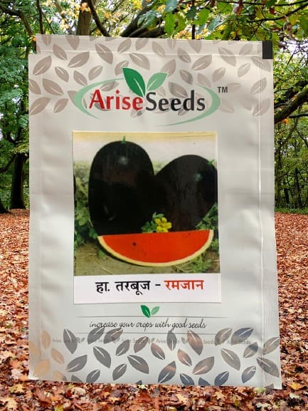 Ramadan Watermelon Seed Supplier in mizoram