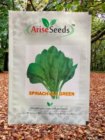 Spinach - All Green Seeds Supplier in greece