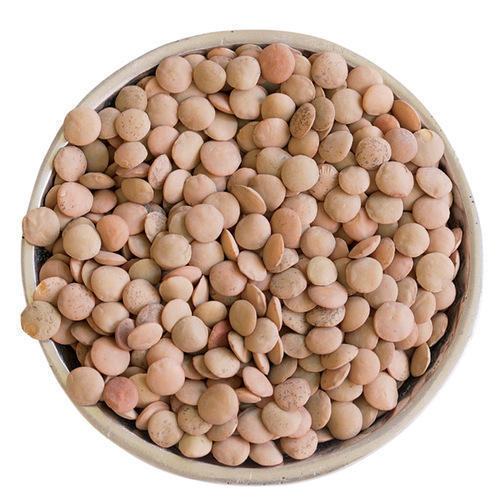 Lentils Manufacturers in West Bengal