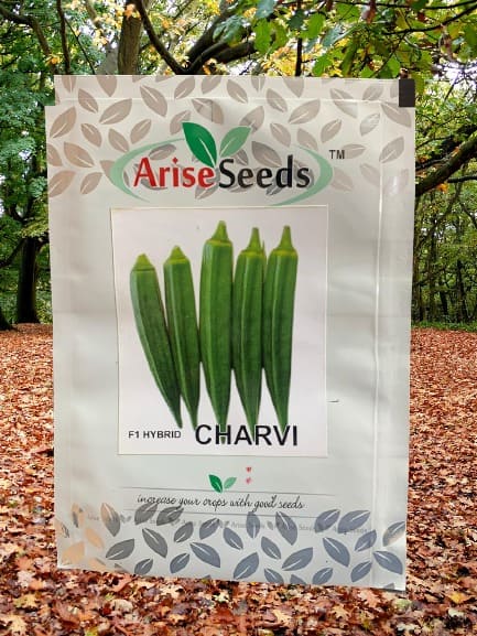 F1 Hybrid Charvi Ladyfinger Seeds Supplier in raipur