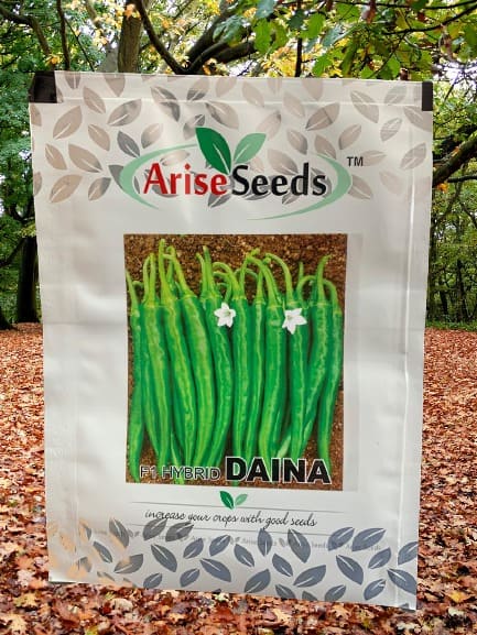 F1 Hybrid Daina Chilli Seeds Supplier in aizawl