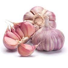 Pink Garlic Supplier in kolkata
