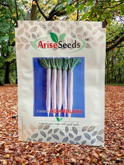 F1 Hybrid Radish Seeds - Pearl White Supplier in jordan
