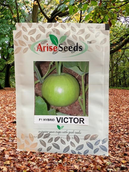 F1 Hybrid Victor Seeds Supplier in kenya