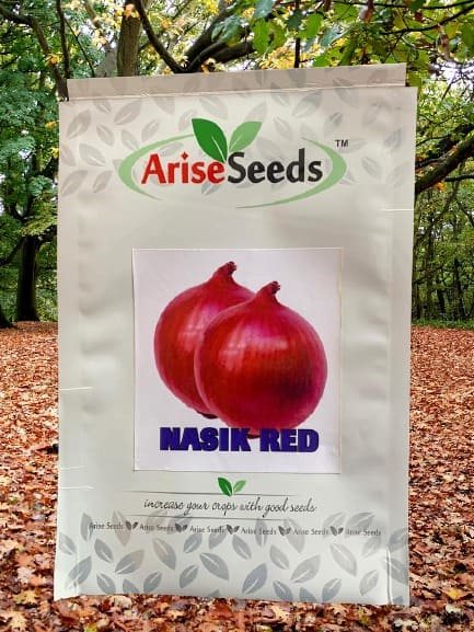 Nashik Red Onion Seeds Supplier in cuba