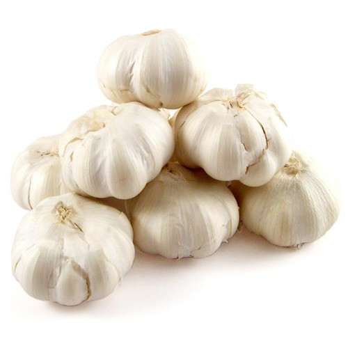 Pudi Garlic Supplier in Mandsaur