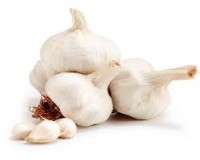 Fresh Bom Garlic Manufacturer in imphal