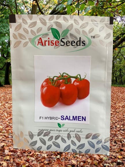F1 Hybrid Salmen Tomato Seeds Supplier in tanzania