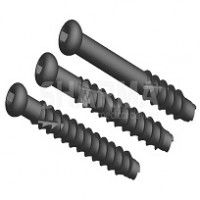 Cannulated Cancellous Screws Locking System