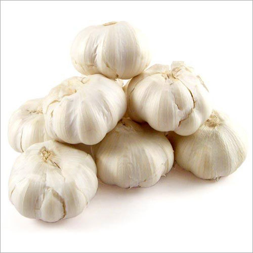 Jawara Garlic Supplier in uttarakhand