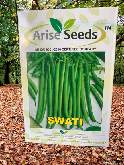 Swati Seed Chilli Seed Supplier in russia