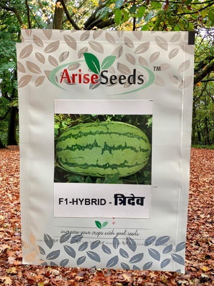 F1 Hybrid Tridev Watermelon Supplier in peru
