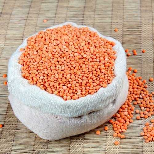 Red Lentils Manufacturers in West Bengal