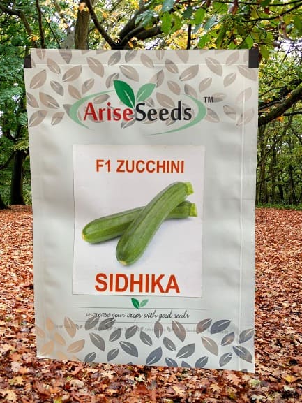 F1 Zucchini Sidhika Seeds in new zealand