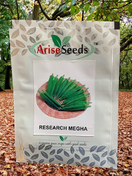 Research Megha lady Finger Seeds Supplier in ranchi