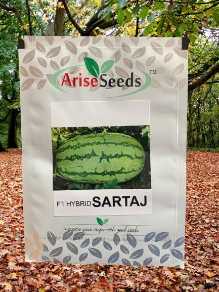 F1 Hybrid Sartaj Watermelon Seed Supplier in andhra pradesh
