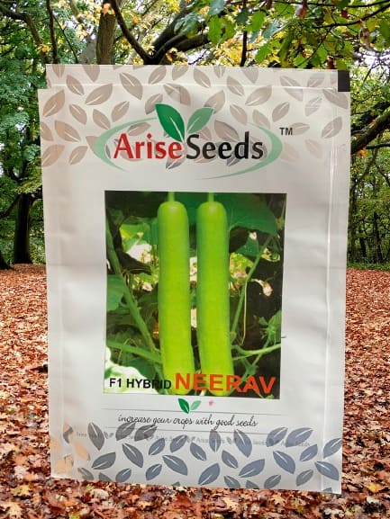 F1 Hybrid Neerav Bottle Gourd Seeds Supplier in vanuatu