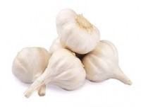 Indian Organic Garlic Supplier in imphal