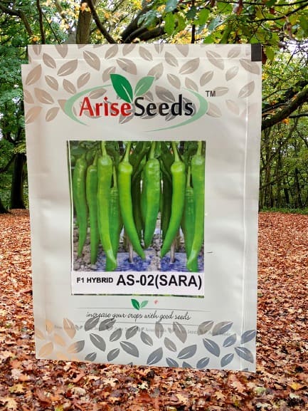 F1 Hybrid As-02 ( Sara ) Green Chilli Seeds Supplier in thiruvananthapuram