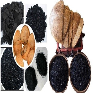 Coconut Based Carbon manufacturers in Ahmedabad
