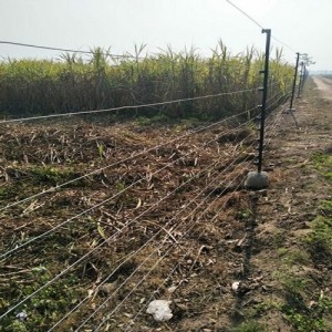 Solar Wire Fence