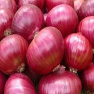 Amazing Onion Seed