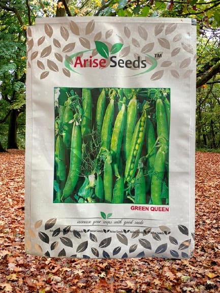 Green Queen Peas Seeds Supplier in czech republic