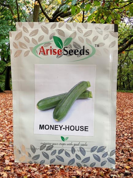 Money - House Seeds