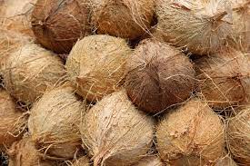 Semi Husked Coconut Manufacturers in West Bengal
