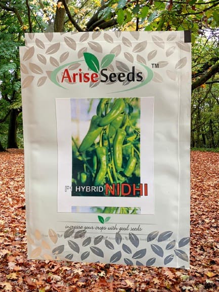 F1 Hybrid Nidhi Green Chilli Seeds Supplier in uttarakhand